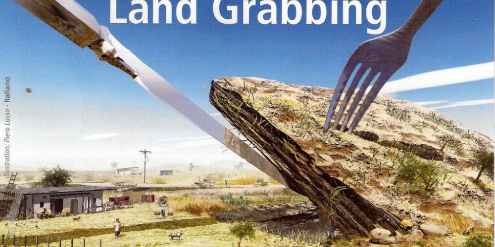 Il “Land grabbing”