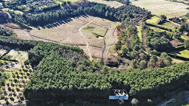 Il parco dei fossili