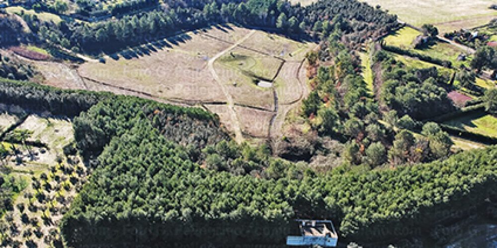 Il parco dei fossili